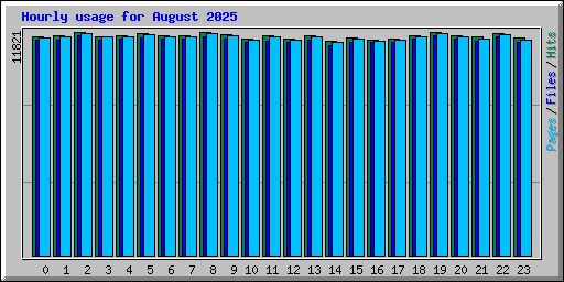 Hourly usage for August 2025