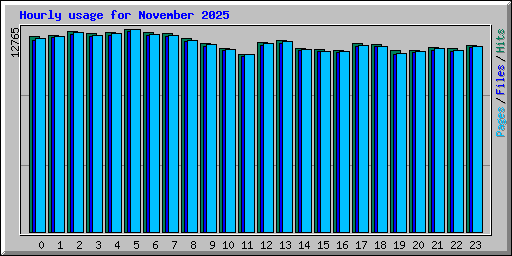 Hourly usage for November 2025