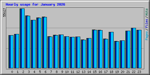 Hourly usage for January 2026